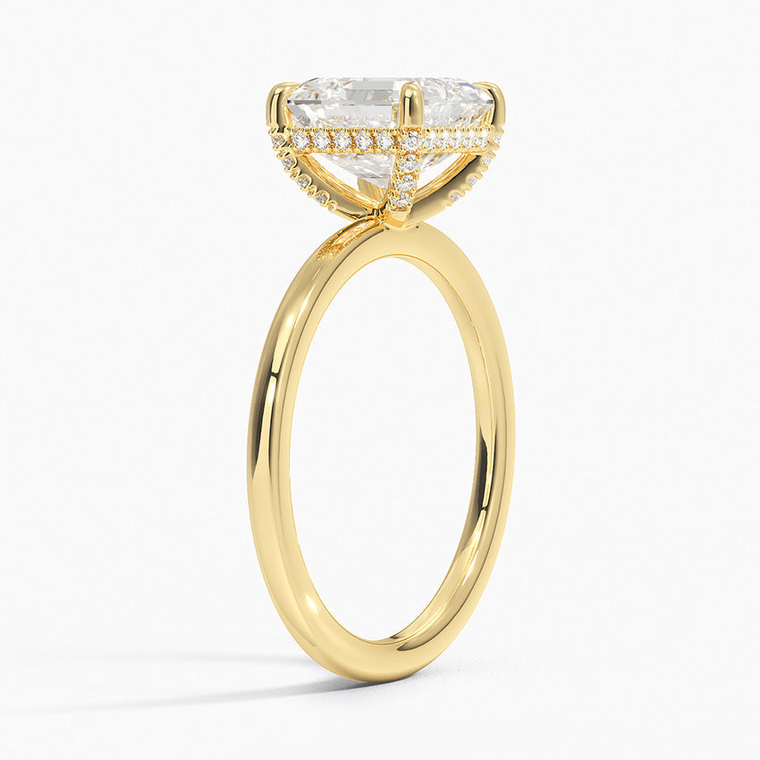 Nara Asscher